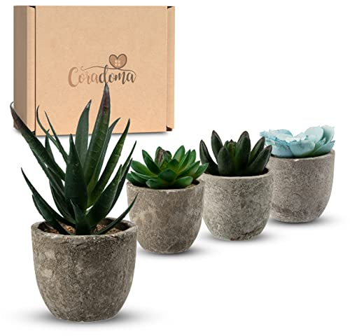 Coradoma Künstliche Pflanzen Mini 4er Set Grau Dekoration Kunstpflanzen im Topf | Wohnzimmer Deko modern Küchendeko | Kunstblume Sukkulente Fensterbank Schreibtisch Wanddeko Büro Schlafzimmer