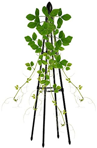 Treillis en rotin pour grimpantes - 120 cm - en métal - Support pour Arbre de Jardin - Obélisques de Jardin pour grimpantes - Treillis en métal pour en Pot