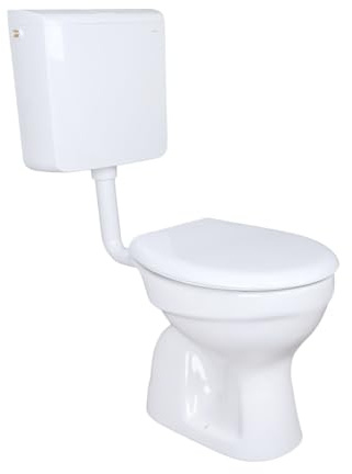 Belvit WC Komplettset, Standtoilette mit Geberit AP110 Aufputz-Spülkasten | Senkrechter Bodenabgang, Sitz mit Absenkautomatik, Tiefspüler aus Sanitärkeramik, 6-9 l Spülmenge, Alpinweiß