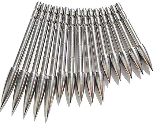ZSHJG 12pcs Pfeilspitzen Jagdspitzen Bogenschießen Pfeil Tipps Einfügen Pfeilspitze für 4,2 mm Carbon Pfeil Shaft Pfeilspitze Tipps (100Grain)