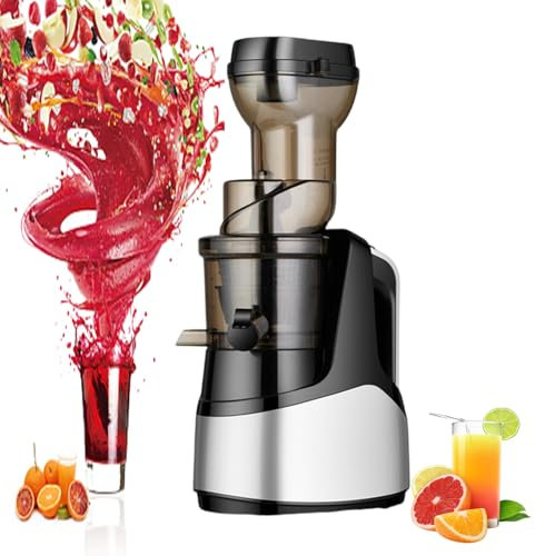 Slow Juicer Masticating Juicer Machine,150w Juicers for Fruit and Vegetable with Reverse Function/Brush & Quiet Motor Cold Press Juicer Make Fresh Healthy Juice,Grey