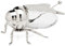 Godinger BEE Honey JAR