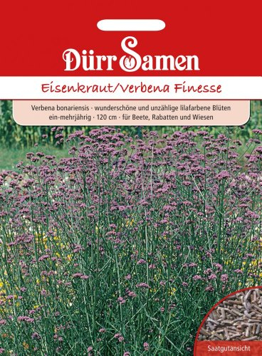 Dürr Samen 1987 Eisenkraut Verbena Finesse (Eisenkrautsamen)