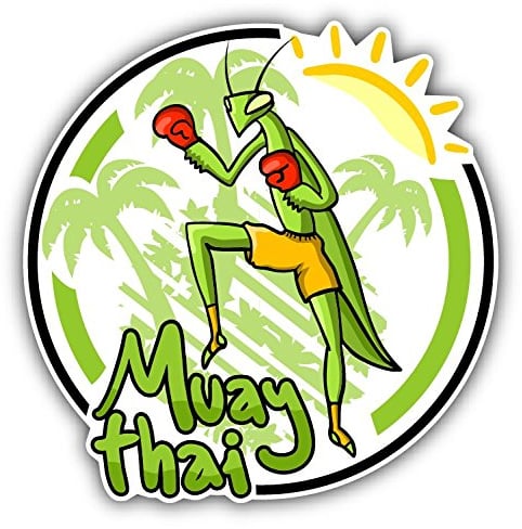 Muay Thai Emblem Hochwertigen Auto-Autoaufkleber 12 x 12 cm