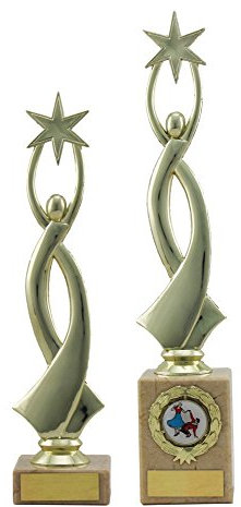 A1 PERSONALISED GIFTS Gold Star Achievement Trophies