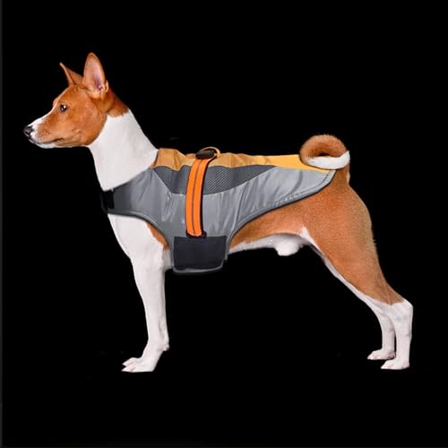 Hundemantel Wasserdicht Winter Warme Winddicht Reflektierend Hundejacken für Mittel und Große Hunde (M)