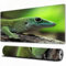 EOMKSE Mauspad Verlängertes großes Mauspad Schreibtischauflage,genähte Kanten Mauspad,Gummibasis,Kochs Riesen-Taggecko (Phelsuma madagascariensis Kochi),Gaming-Mauspad,40x75 cm