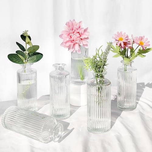 ROLLWAY 6er Set Kleine Vasen für Tischdeko Vase Klein Glasvasen Hochzeit 13.2cm, Mini Vasen Set Glas Durchsichtig Minivasen Blumenvasen Zylindervasen Dekogläser Vintage Vasenset für Party Esstisch