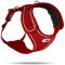 Belka Harness Red XL