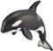 CollectA Orca Kalb, Weiss/Opulenter Garten, M