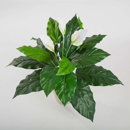 artplants.de Artificial Spathiphyllum, white, 28/70cm
