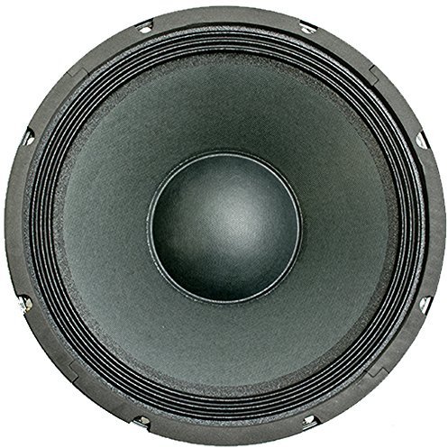 Seismic Audio - Quake10_4_Ohm - 10 Raw Woofer Speaker Driver PRO AUDIO PA DJ Replacement