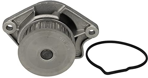 Hepu P541 Wasserpumpe