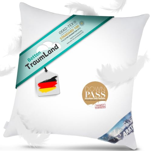 Arktic Feder- Daunenkissen Kissen Kopfkissen 80x80 cm Füllung 1.000 g