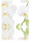 Fensterfolie Sichtschutz Fensterbild Wellness Orchidee Aufkleber 108 x 72cm