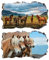 2Pcs Pferd Horse Wandtattoo 3D Effekt XXL Wanddurchbruch Fenster Wandaufkleber für Junge Mädchen Kinderzimmer Groß 1000mmx600mm