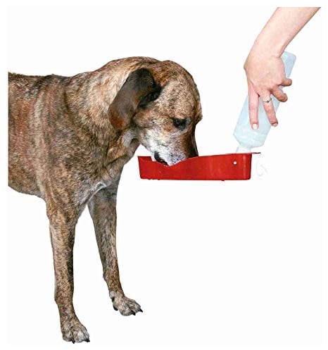 Trixie Distributeur d'eau/Gourde pour Chien 250 ML