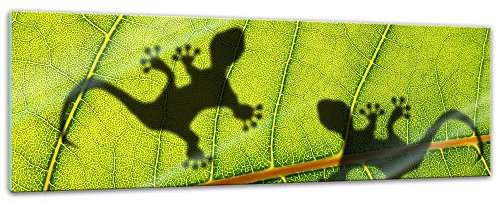 Bilderdepot24 Glasbild - Dschungelblatt mit Geckos - 120x40 cm - Deko Glas - Wandbild aus Glas - Bild auf Glas - moderne Bilderdepot24 Glasbilder - Glasfoto - Echtglas