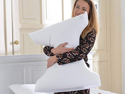 Lancashire Textiles Butterfly Pillow (Sky Blue, Pillow With Case)