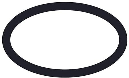 hansgrohe HG O-Ring 15 x 2,5