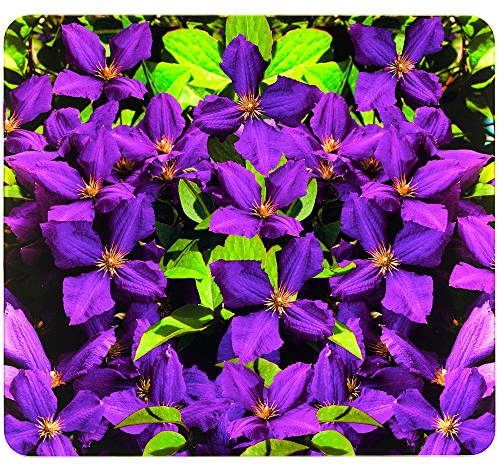 WENKO 2712963500 Multi-Platte lila Clematis für Glaskeramik Kochfelder, Schneidbrett, Gehärtetes Glas, Mehrfarbig, 56 x 50 x 0,5 cm