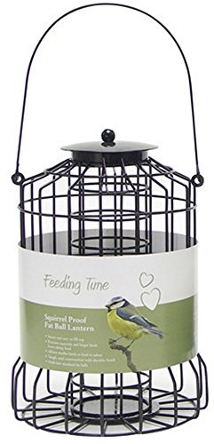 Rosewood Feeding Time Squirrel Proof Fat Ball Lantern (One Size) (Black), VIT-30655
