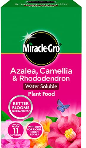 Miracle-Gro 1 kg Azalea, Camelia e Rhododendron Pianta Nutrizione risolvibile