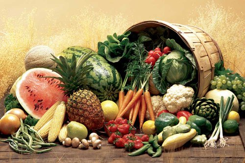 empireposter Poster - Educational - Bildung - Cuisine Fruits & Vegetables Früchte und Gemüse