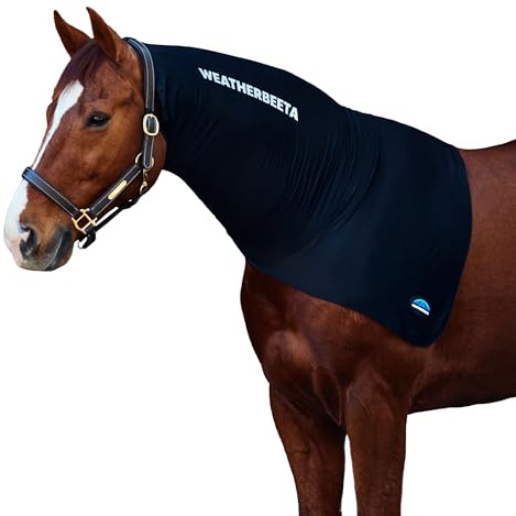 WeatherBeeta Stretch Neck Rug, Black, Pony