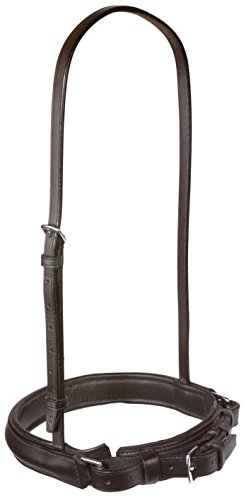 BUSSE Reithalfter SCHWEDEN-KANDARE