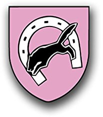 Aufkleber/Sticker PzBtl 64 Rosa Panzer Bataillon Leo Wolfhagen Wölfe 6x7cm A883