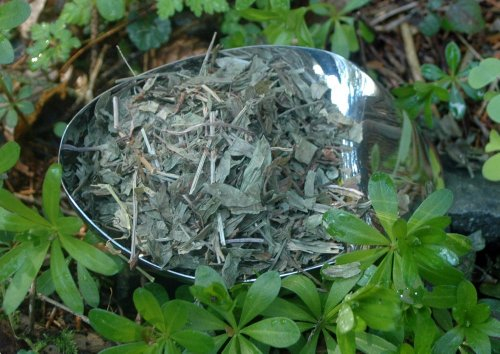 Naturix24 – Waldmeisterkraut geschnitten – 1 Kg-Beutel