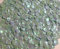 1400 Pailletten - Ø 6mm - Riesige Auswahl an Farben (Helles Türkis irsierend)