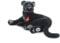 Trudi Pantera Iris Pantera mascotte peluche, regalo di Natale e compleanno. | 38x23x34cm taglia L | Animali Esotici tropicali | modello 27563