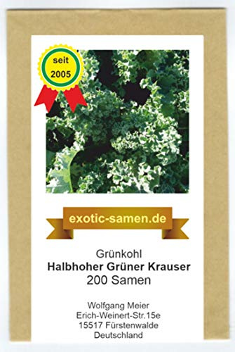Grünkohl - halbhoher grüner Krauser - 200 Samen