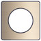 Schneider Electric S540802L Odace Touch Plaque avec Liseré 1 Poste, Bronze