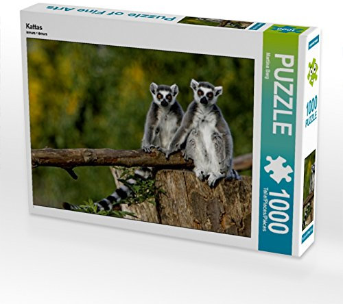 CALVENDO Puzzle Kattas 1000 Teile Puzzle quer | 1000 Teile Lege-Größe 64 x 48 cm Foto-Puzzle für glückliche Stunden