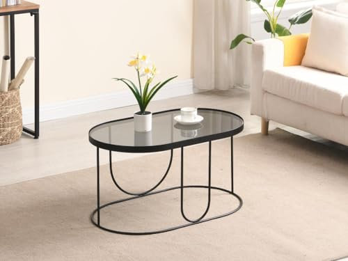 Vente-unique-Table Basse en métal et Verre fumé - Noir et Transparent - Pretoria