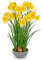Hollyone Gelbe Künstliche Narzissen Seidenblumen, 40cm Dekorative Blume Künstliche Narzissen im Topf, Kunstblumen Frühlingsblume für Heimdekoration, Fensterbank, Wohnzimmer, Tischdeko