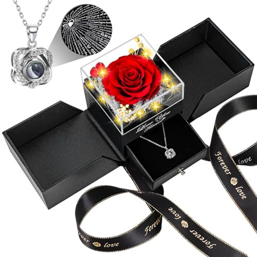 Lebana Ewige Rose mit Herz Halskette und LED Beleuchtung Geschenkset für Frauen Mama Freundin zu Geburtstag Weihnachten Valentinstag Hochzeitstag, Muttertag-Rot