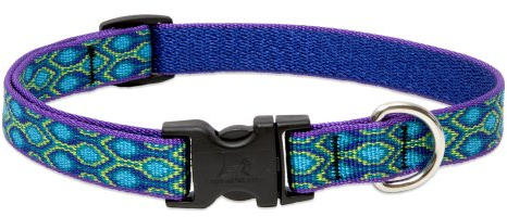 Lupine Small Dog Collar 3/4 Wide Rain Song Adjusts from 9 to 14