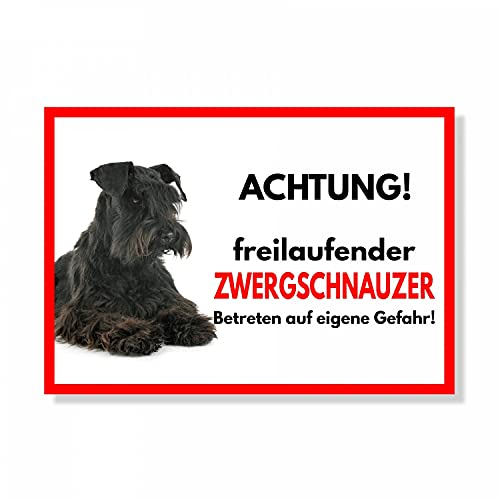 Zwergschnauzer 2 Freilaufender Hund Dog Schild Spruch Türschild Hundeschild Warnschild Geschenkidee Sicherheitsschild Hund Privatgrundstück Hundewarnung Warnung vor dem Hund