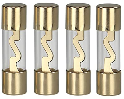 Glassicherung AGU Sicherung 30 Ampere 4 Stück Fuses
