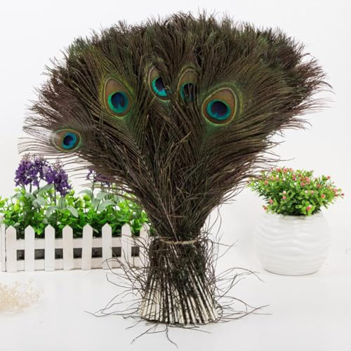 XDGJTBFMY Pfauenfeder-Set, natürliche echte Pfauenaugenfedern, Schwanzfedern für Hochzeit, Party, Urlaub und Heimdekoration und DIY Handwerk Mode in praktisch (50 Stück)