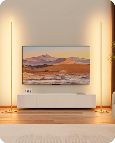 EDISHINE 2 Pack LED Floor Lamp, 146cm Minimalist Dimmable Standing Lamp with Foot Switch, Stepless Dimming, Tall Corner Lamp for Living Room, Bedroom, Office, 3000K, Gold