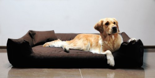 tierlando Moritz Komfort Hundebett Hundesofa M - XXXL 90 110 130 160 185 cm Größe: 90x75cm | Farbe: 01 Braun