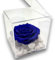 PremiumRose Rose Bleu Stabilisée et Parfumée Cube 12cm Vraie Rose Eternelle, Idée Cadeau Maman, Petite Amie, Ami, Idée Cadeau Anniversaire, Remise de Diplôme (Bleu - A 1021)