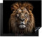 KitchenYeah© Protege Couvre Plaque De Cuisson Décoration Cuisine Tapis Protection Protecteur Induction 60x52 cm Lion - Portrait - Animaux - Noir