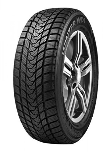 Winterreifen Delinte WD-1 195/60 R15 88H