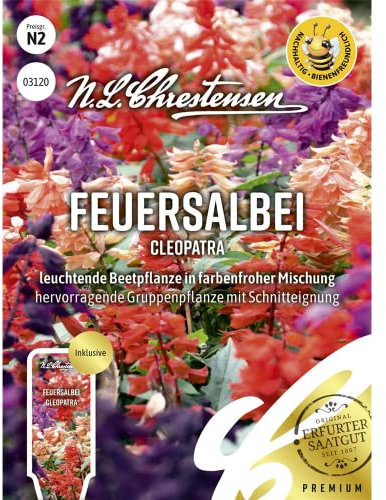 Feuersalbei Cleopatra, leuchtende Beetpflanze in farbenfroher Mischung, bienenfreundlich, Samen